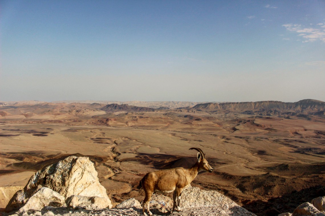 IMG_20170916_143129_627